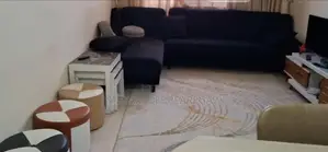 Furnished Studio Apartment in Apartment, Yeka for rent
