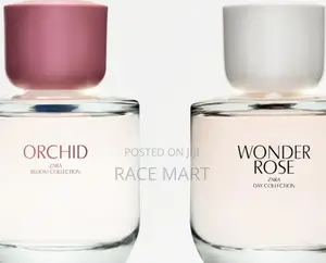 Zara’S Orchid Wonder Rose**