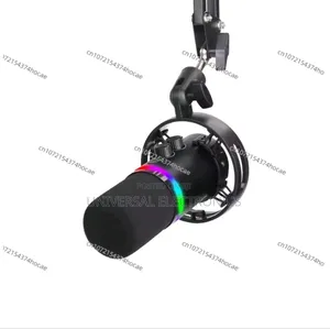 Professional-Mic With Boom Arm Bundle!