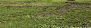 የሚሸጥ ባዶ ቦታ ገርዢ አከባቢ Land for Sale