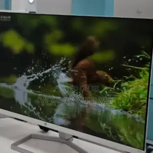 Hp Moniter