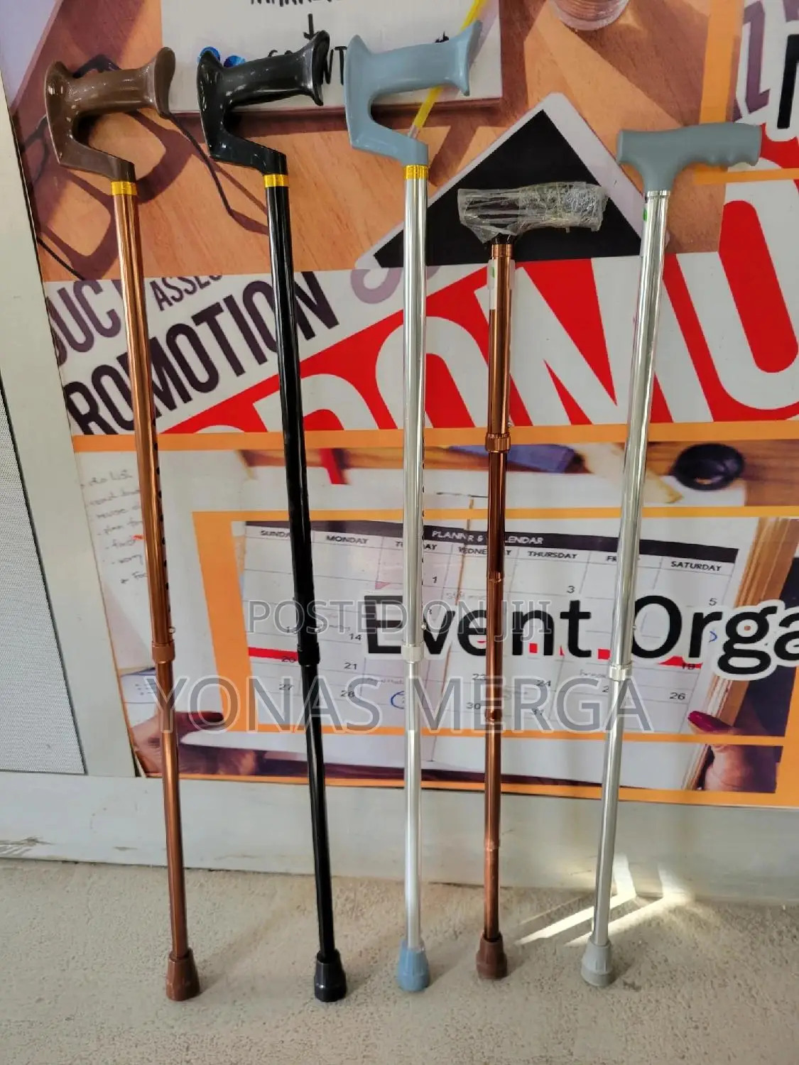 Walking Stick