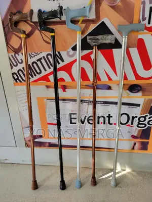 Walking Stick