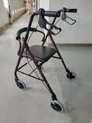 Walker / Rollator声發ىdual Purpose Seat Walker