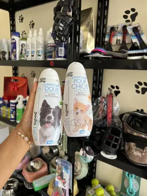 Original Shampoo