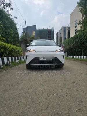 Hozon Neta Aya 2024 White