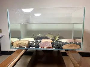 Aquarium (Fish Tank)