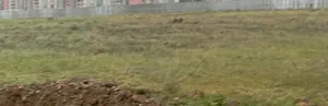 የሚሸጥ ባዶ ቦታ በቅናሸ ዋጋ Land for Sale