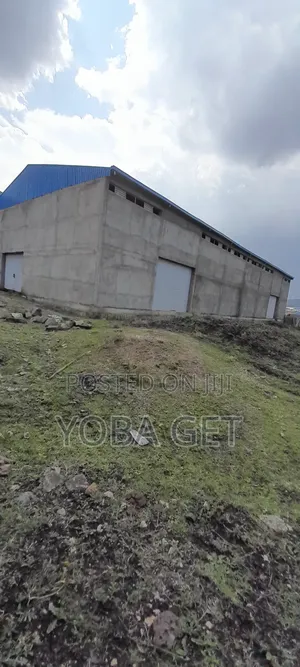 አስቸካይ የሚሸጥ መጋዘን