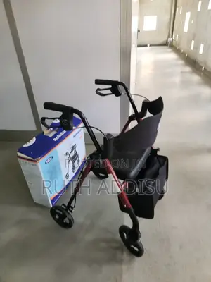 Walker Medical畾裡medical Walker亞軍european Standard Walker