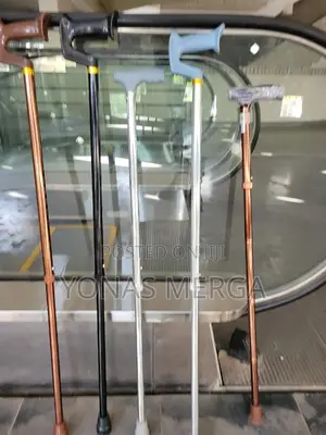 Walking Canes Are Used to Relieve Weight When Walking/Hiking