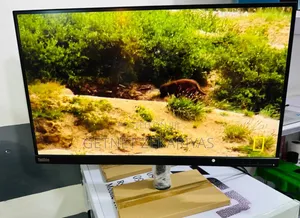 Lenovo Thinkvision Monitor