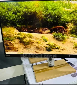 Lenovo Monitor