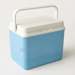 Ice Box (40liter)