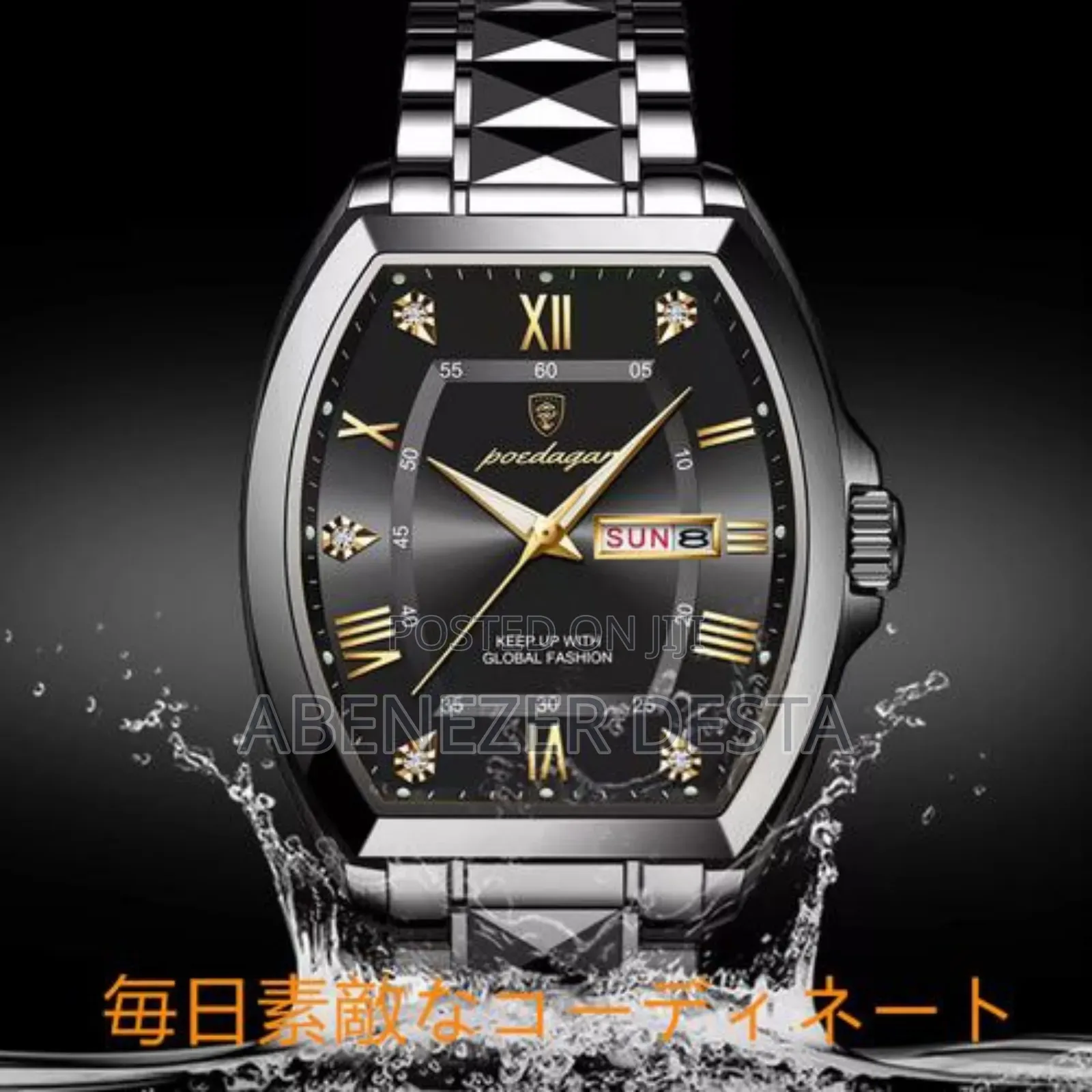 Poedagar Luxury Watch for Man Elegant