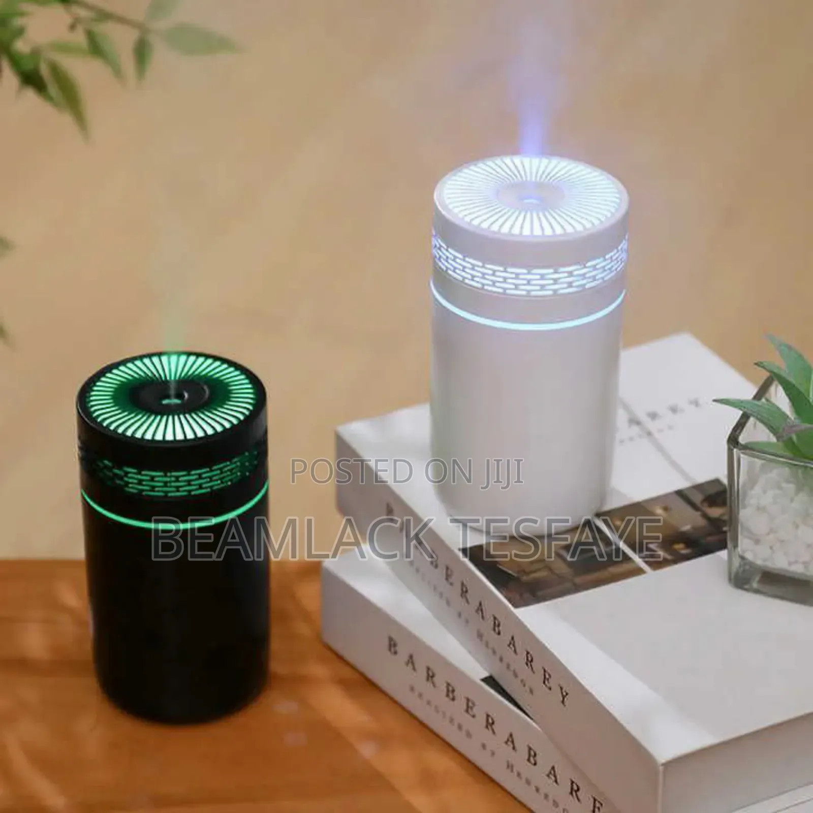 Ultrasonic Car and Home Humidifier