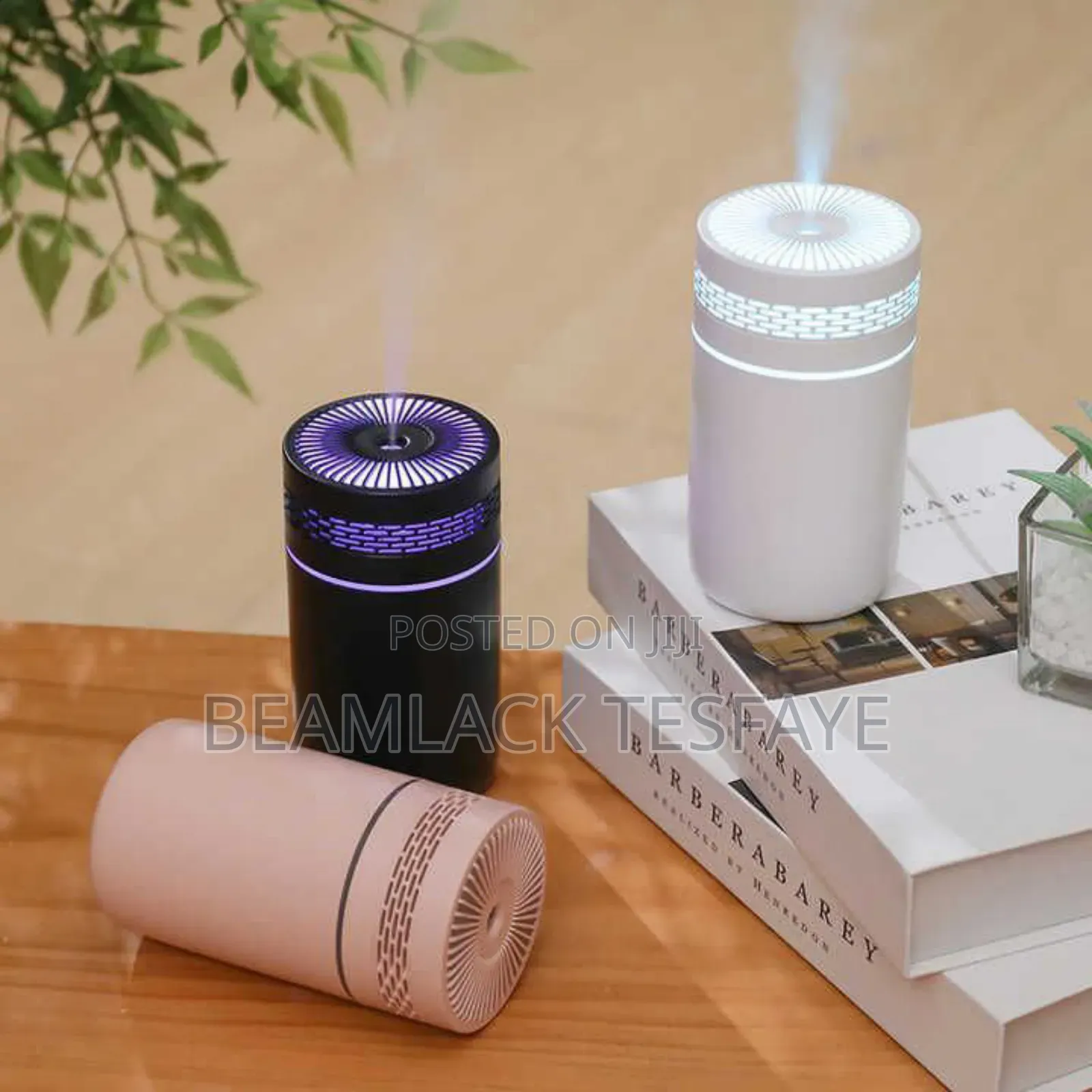Ultrasonic Car and Home Humidifier