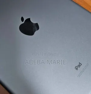 New Apple iPad 10.2 (2020) 256 GB Gray