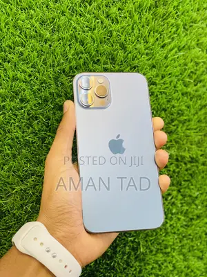 Apple iPhone 12 Pro Max 256 GB Blue