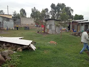 Property for Sale in Bole Bulbula