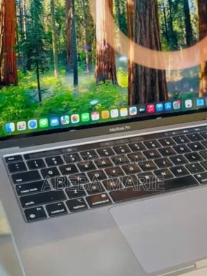 New Laptop Apple MacBook Pro 2021 M1 8GB Apple M1 Pro SSD 256GB