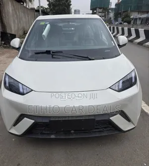 New BYD Seagull 2025 White
