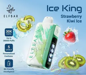Elf Bar 30000 Puff Vape