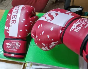 Speedster Pro Boxing Gloves