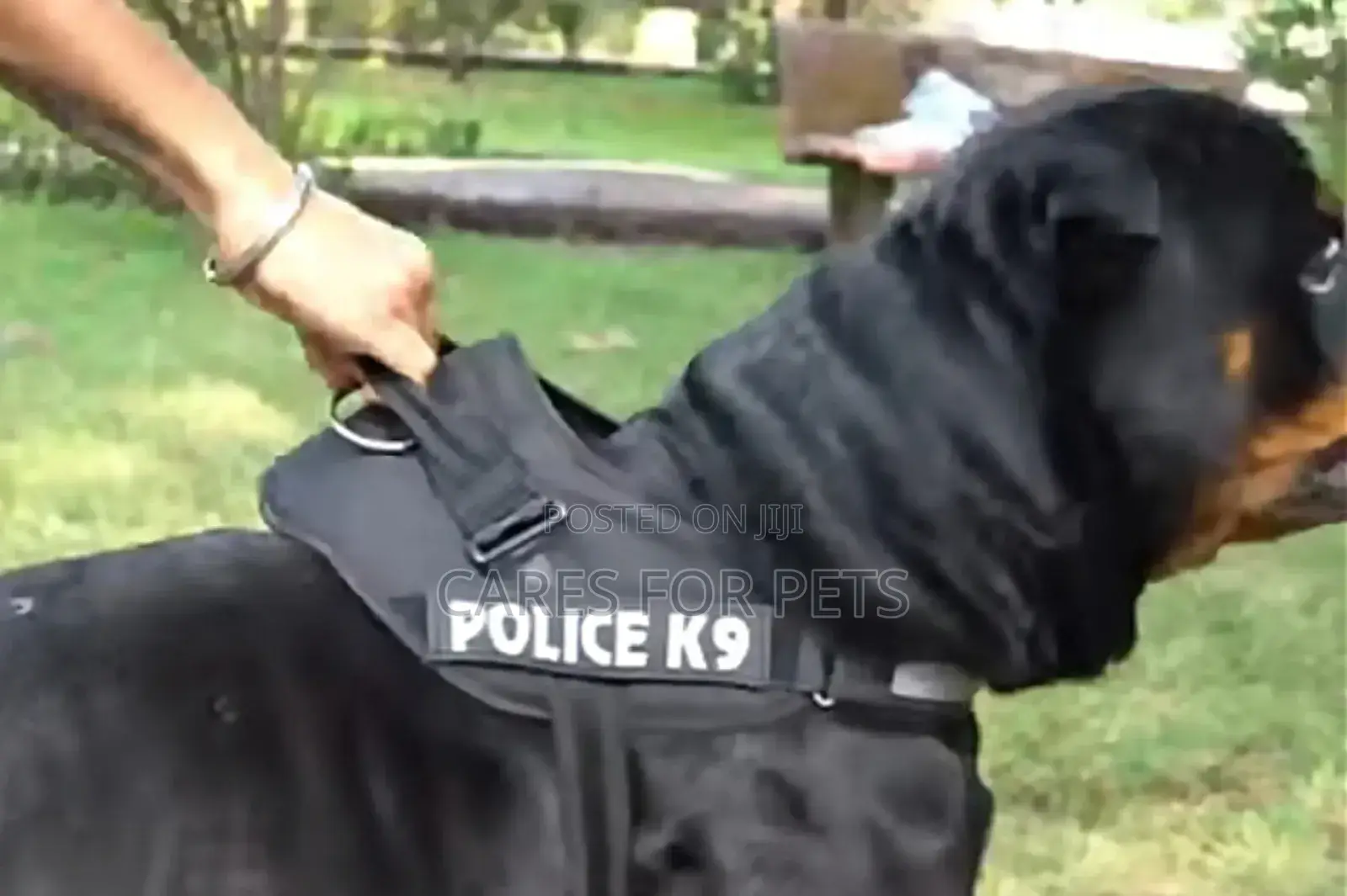 Top Harness_black