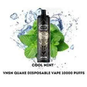 VNSN Disposable Vape – Rich Flavors, Extended Enjoyment