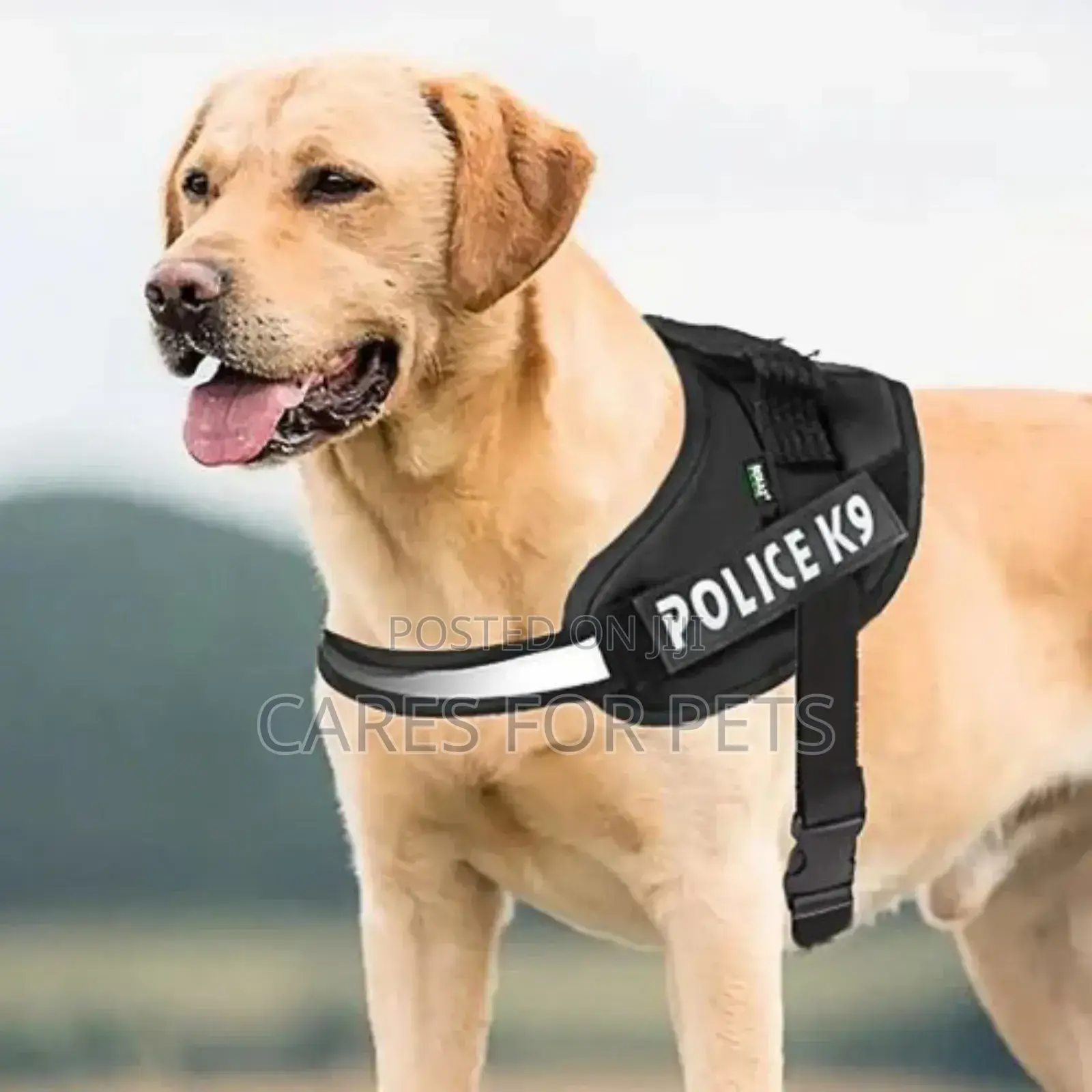 Top Harness_black