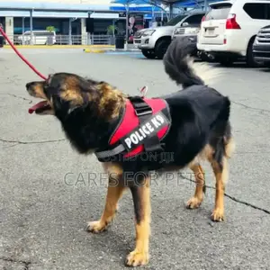 Top Harness_red