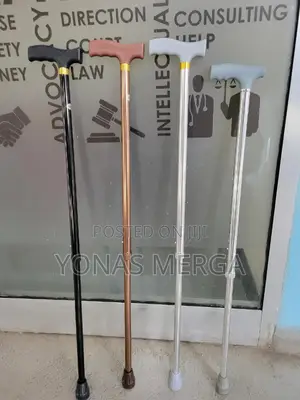 Old Man/Women Cane宁٦walking Stick٥珮shows Single-Point Canes