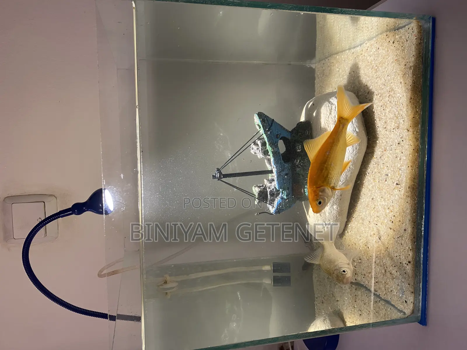 Aquarium (Fish Tank)