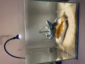 Aquarium (Fish Tank)