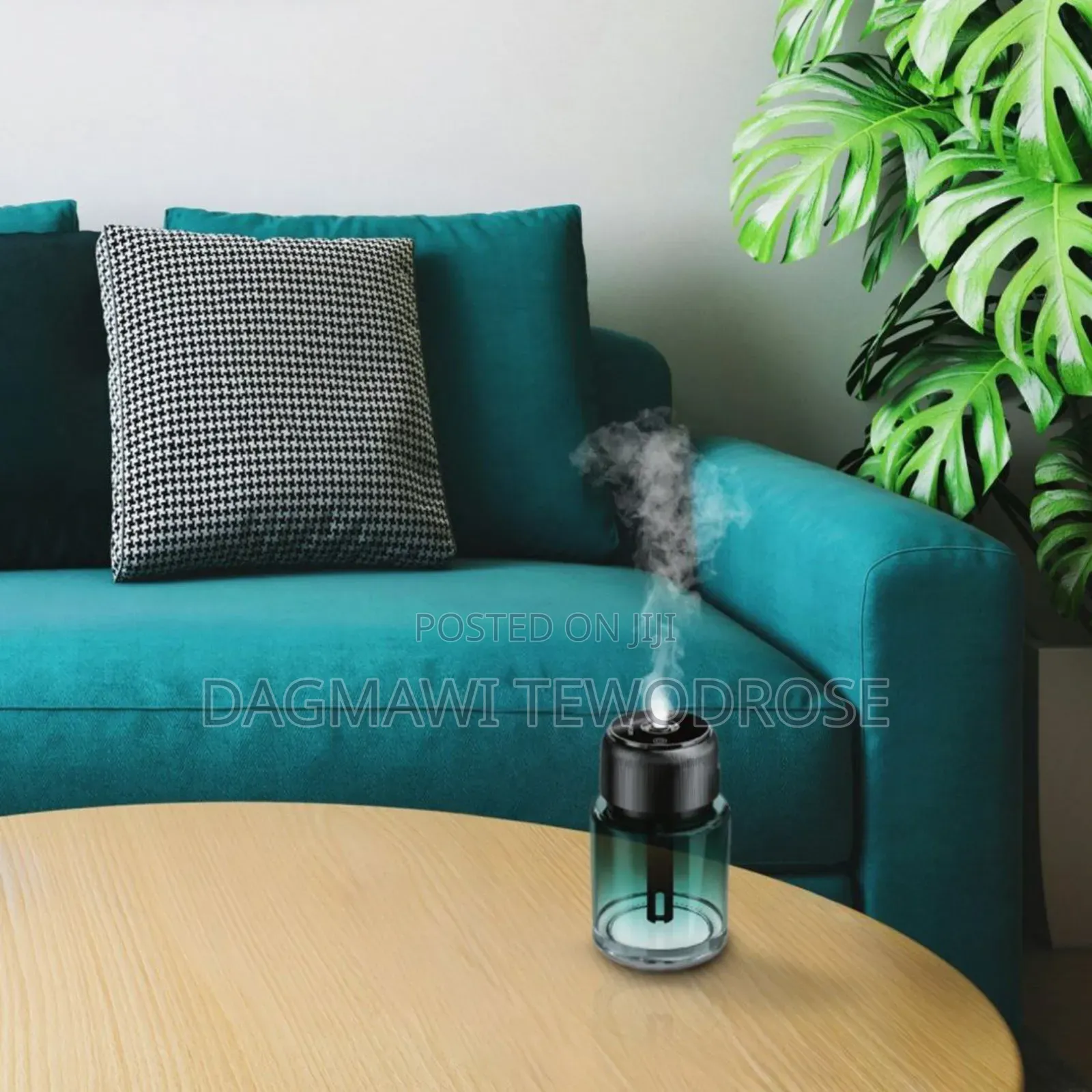  2-in-1 Combo Green Lion Fragrance Air Diffuser