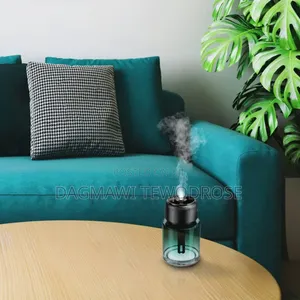  2-in-1 Combo Green Lion Fragrance Air Diffuser