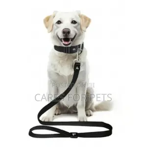 የውሻ መሳያቢያ Dog Lead/Leash