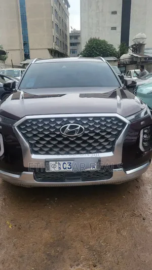 Hyundai Palisade 2022 Brown