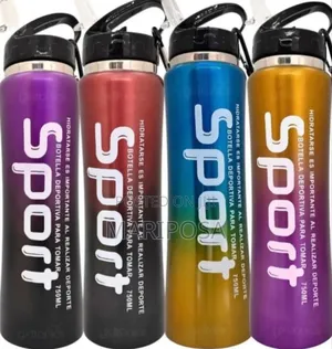 Stainless Steel Water Bottle With Straw