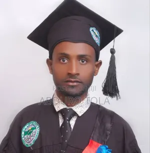 Gis Analyst