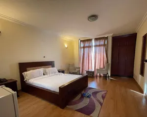 Furnished 3bdrm Apartment in Luxury Apartment, Yeka for rent