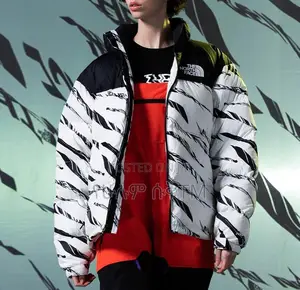 The North Face 1996 Retro Zebra Stripe Nuptse Jacket