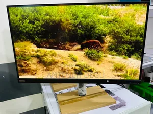 Computer Monitor