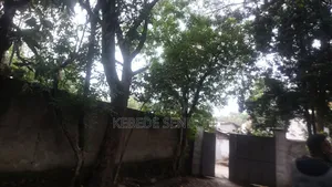 3bdrm House in Oromia, East Shewa for rent