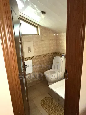 Furnished 1bdrm Apartment in Real, Bole for rent