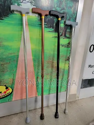 Extra Long Cane Easy to Travel棘وwalking Stick遊٥(Plus Black)