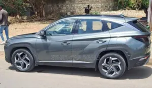 Hyundai Tucson 2023 Gray