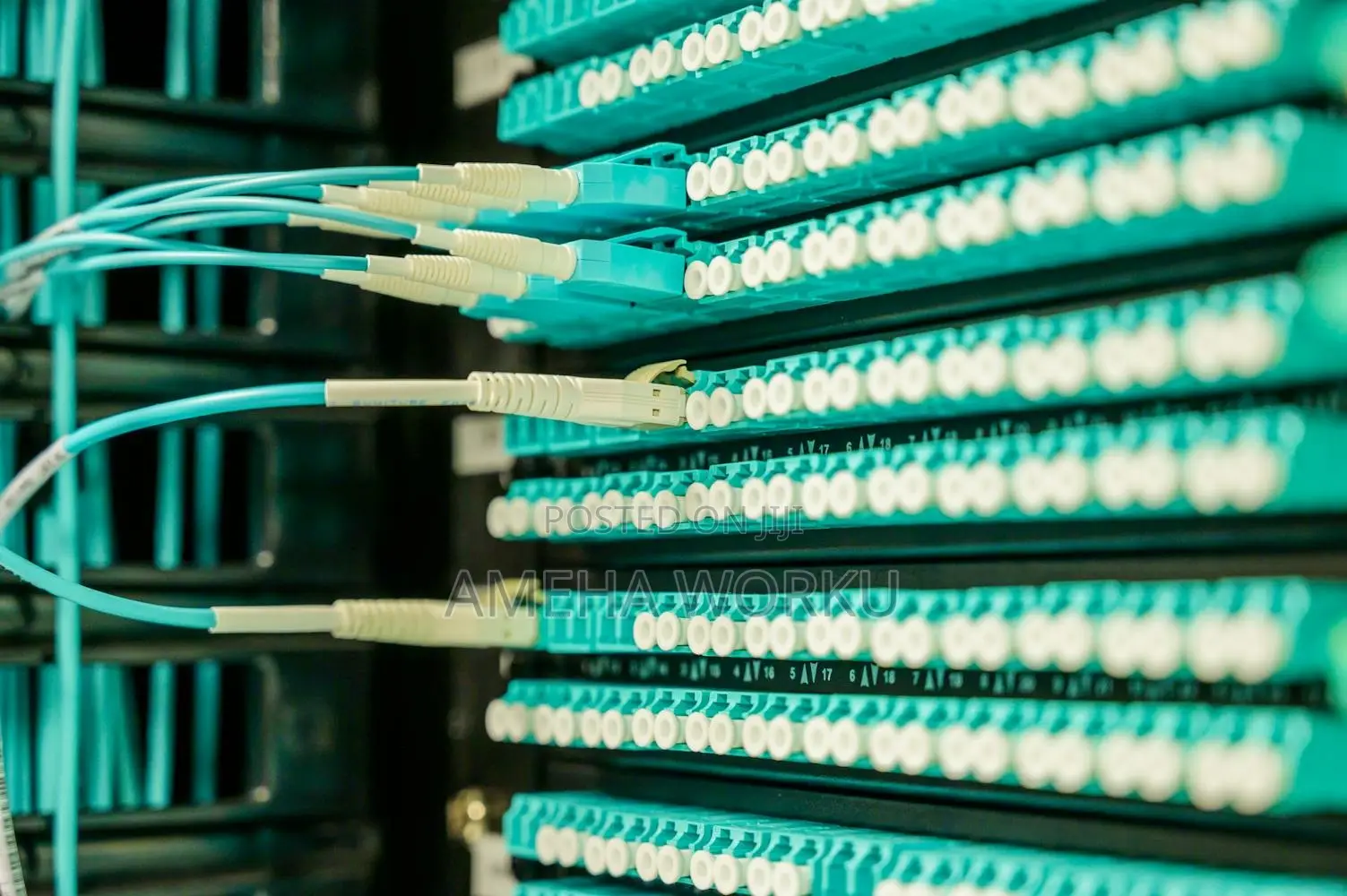 Network Installation and Configuration