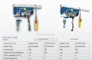 Mini Electrical Hoist